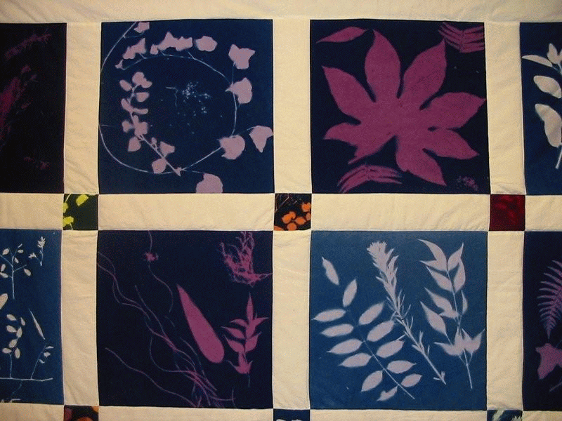 Quilt created by Nancy Anderson using blue sunprints' cotton